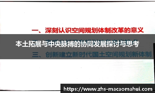 本土拓展与中央脉搏的协同发展探讨与思考